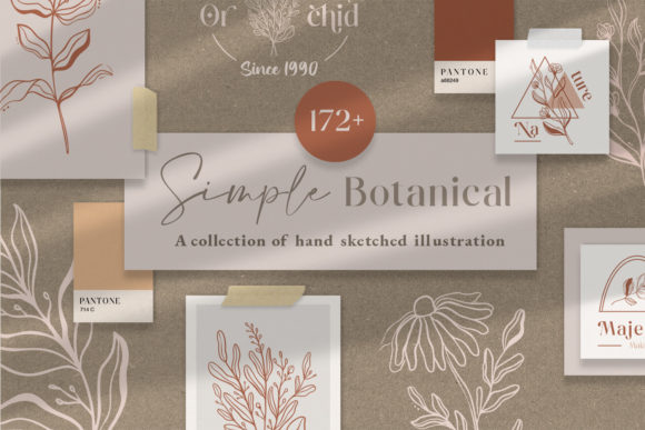 Download Simple Botanical Line Art Flowers - Simple Collection